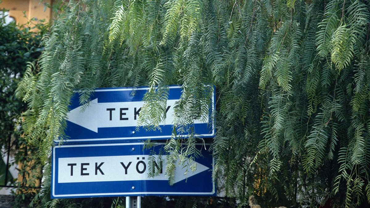 Lise (14-18 yaş)