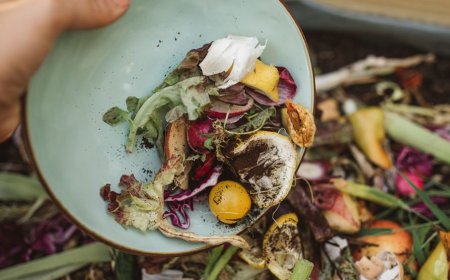 Küresel Gıda İsrafı Sorunu ve Türkiye'nin Çözüm Yolları