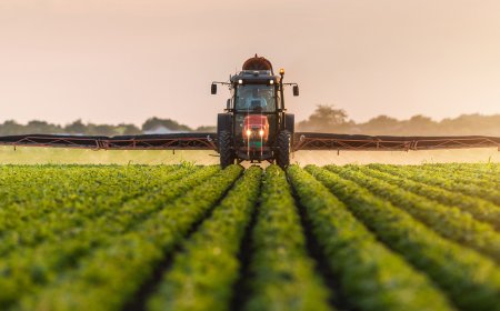 Türkiye'nin Sürdürülebilir Tarım Çözümleri