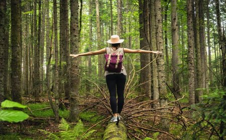 Doğanın Sessizliği ve İnsan Gürültüsü