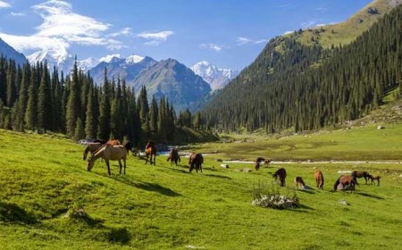 Türklerde Yaşama ve Doğaya Duyulan Bağlılık