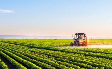 Tarım Sigortaları 2020 Yılı Uygulamaları Açıklandı