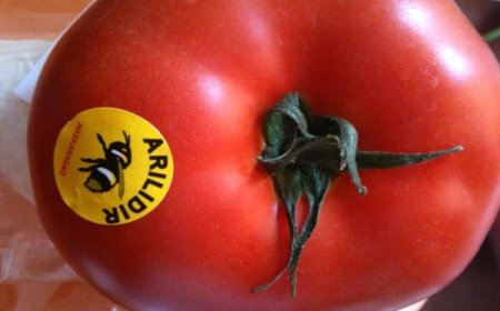 Sebze ve meyvelerin üzerinde bulunan 'arılıdır' ifadesi ne anlama gelir?