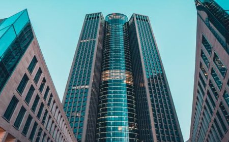 Çokuluslu Şirketlerin Ekolojik Tahribatı