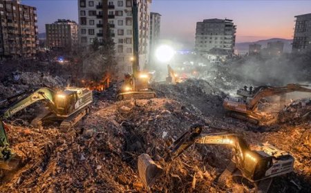 Türkiye'de Ekolojik ve Sosyal Yıkımın Boyutları