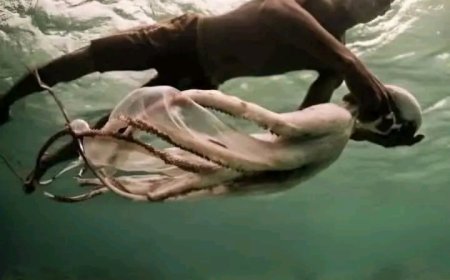 Bajau Halkı: Deniz Altında Yaşamaya Evrilen Bir Kabile