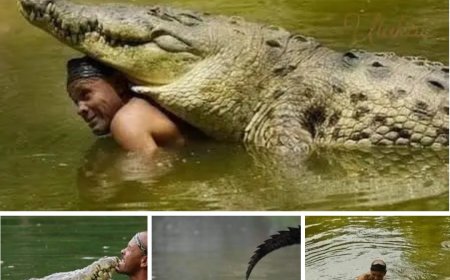 Bir Dostluk Öyküsü: Kosta Rika'da Timsah ve Balıkçı