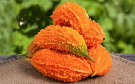 Şifa deposu kudret narının faydaları nelerdir?