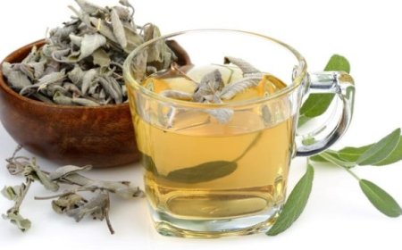 Adaçayı Neden Gece İçilmez?