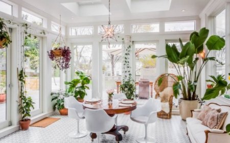 Güneş ışığı seven iç mekan bitkileri