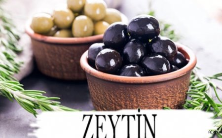 Zeytin 'Olea europaea'