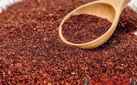 KARACİĞERE RESET ATIYOR, YAĞLANMAYI BİTİRİYOR! PAZARDA GÖREN ALMIYOR AMA ORGANLARI YENİLİYOR