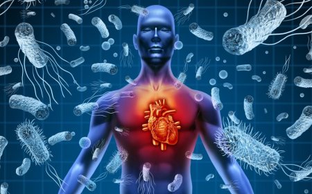 Sepsiste erken tanı hayat kurtarıcı