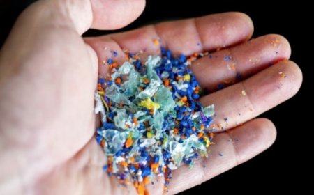 Mikroplastikler kalp krizi sebebi