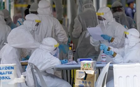 Maymun çiçeğinden korkarken uzmanından yeni uyarı geldi: "Asıl ciddiye almamız gereken virüs bu"