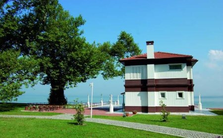 Atatürk'ün Doğa Sevgisinin Simgesi: Yalova Yürüyen Köşk