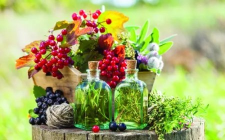 Bahçenizde Yetiştirebileceğiniz 10 Şifalı Bitki ve Faydaları