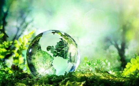 Çevre Bilinci ve Eğitim: Geleceğe Duyarlı Nesiller Yetiştirme Sorumluluğu