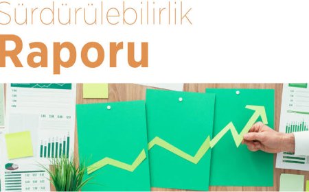 Sürdürülebilirlik Raporu: Kimler Hazırlar ve Neden Önemlidir?