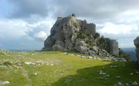 Çem Kalesi'ndeki Gizemli Alfabe: Anadolu Tarihinin Yeni Bir Parçası mı?