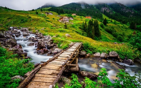 Karadeniz'in Keşfedilmeyi Bekleyen Yaylaları