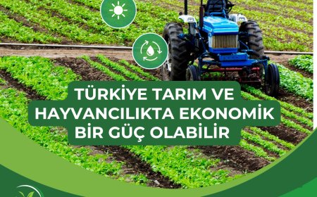 Türkiye'nin Tarım ve Hayvancılık ile Ekonomik Bir Güç Olma Potansiyeli Var.
