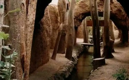 2000 Yıllık Gizemli Kariz Türk Kanalları: Çölün Ortasında Mucizevi Sulama Sistemi