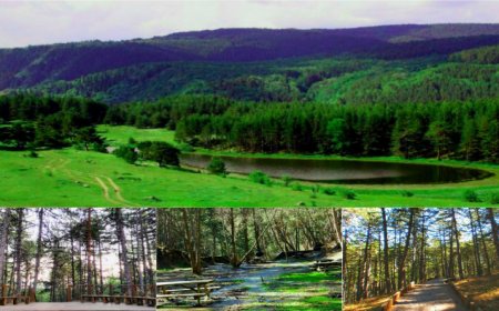 Soğuksu Milli Parkı: Orman Yürüyüşleri ve Termal Kaynaklar