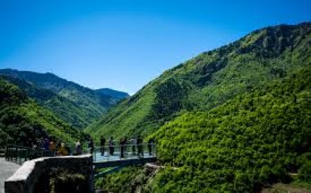 Hatila Vadisi Milli Parkı: Vadi Yürüyüşleri ve Doğal Güzellikler