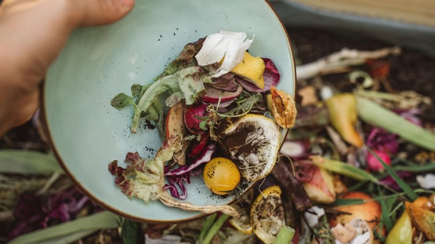 Küresel Gıda İsrafı Sorunu ve Türkiye'nin Çözüm Yolları