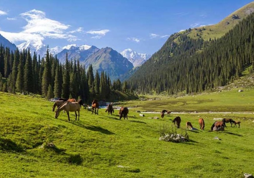 Türklerde Yaşama ve Doğaya Duyulan Bağlılık
