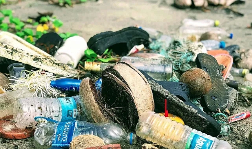 Ekolojik Soykırım Suç Olmalı