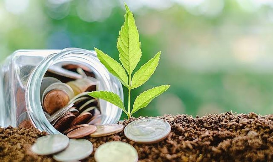 Yeşil Kapitalizm Kurtarıcı mı Kazanç Tuzağı mı?