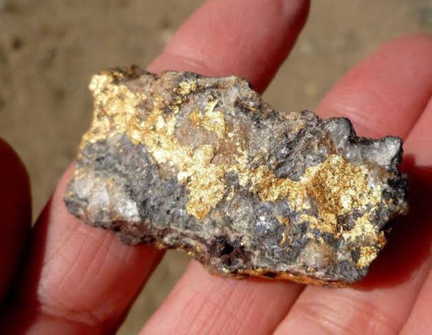 Türkiye’de Altın Madenciliği Tehdidi