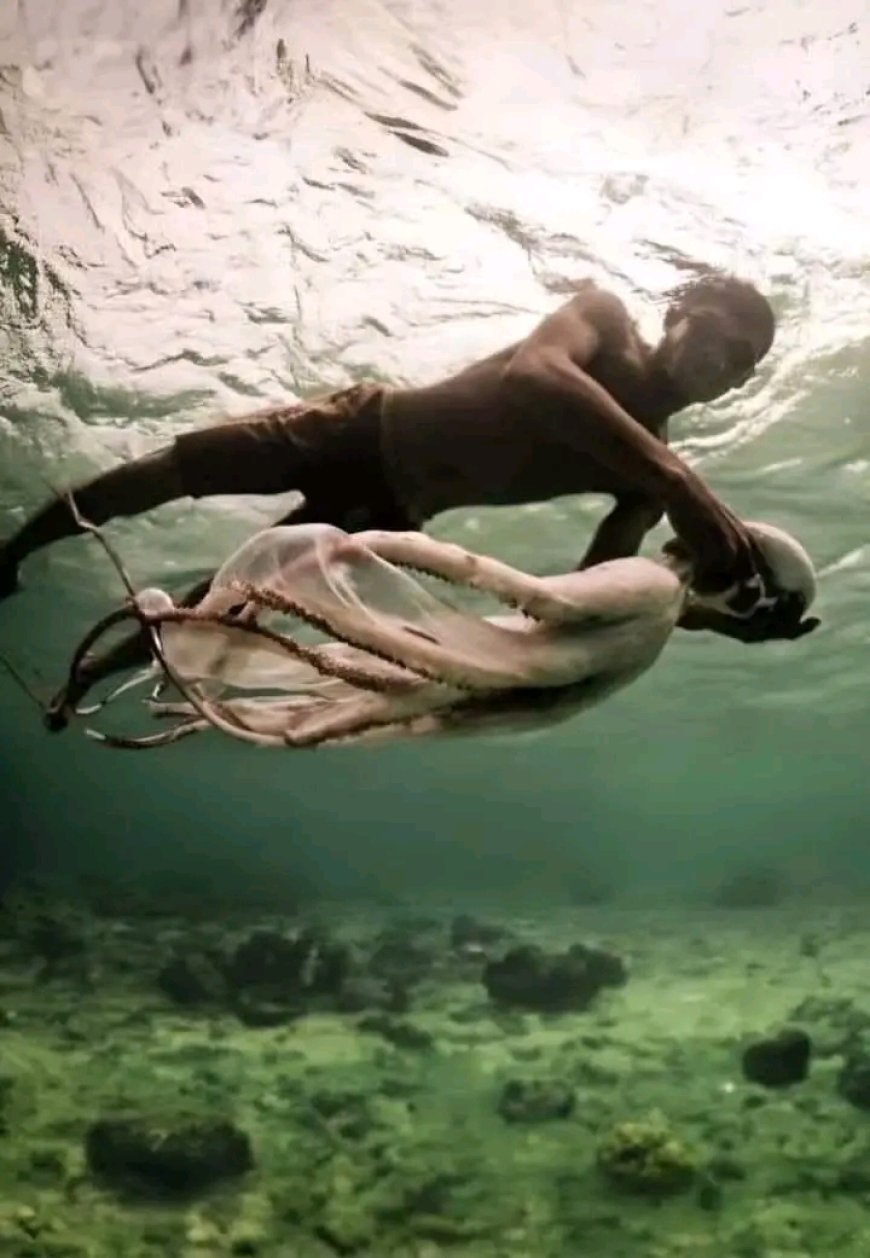 Bajau Halkı: Deniz Altında Yaşamaya Evrilen Bir Kabile