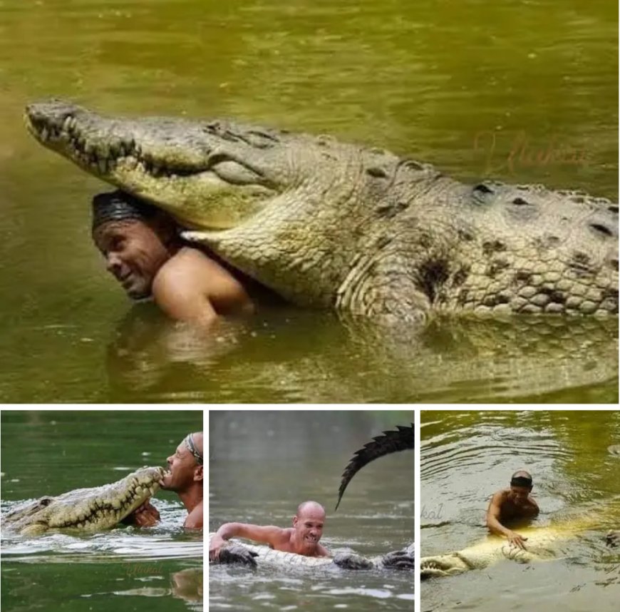 Bir Dostluk Öyküsü: Kosta Rika'da Timsah ve Balıkçı