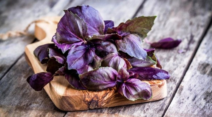 Reyhan nedir? Faydaları nelerdir?