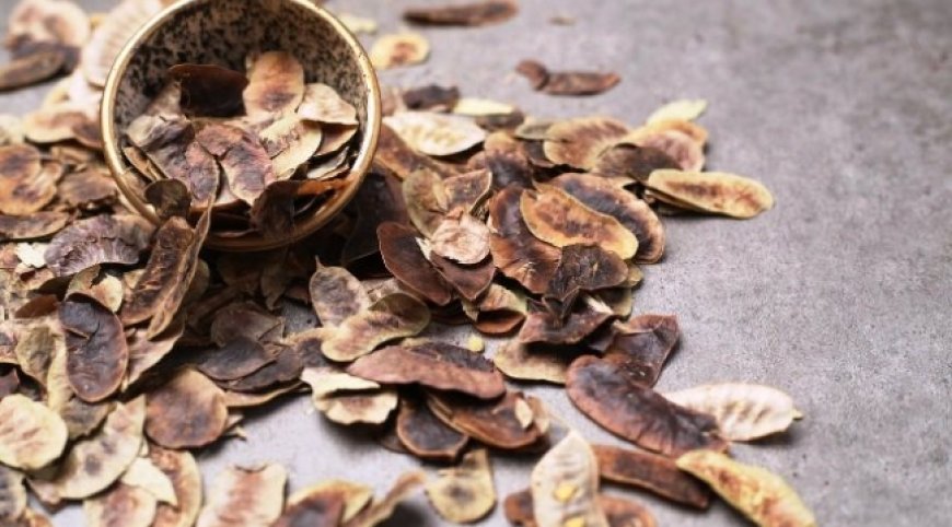 Açlık otu nedir? Faydaları nelerdir?