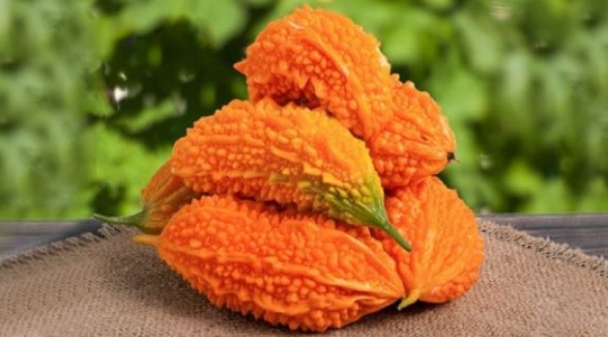 Şifa deposu kudret narının faydaları nelerdir?