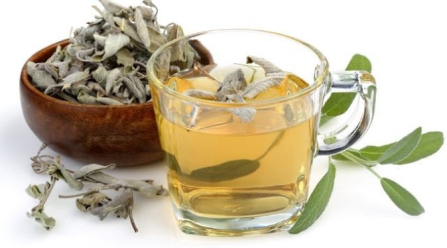 Adaçayı Neden Gece İçilmez?