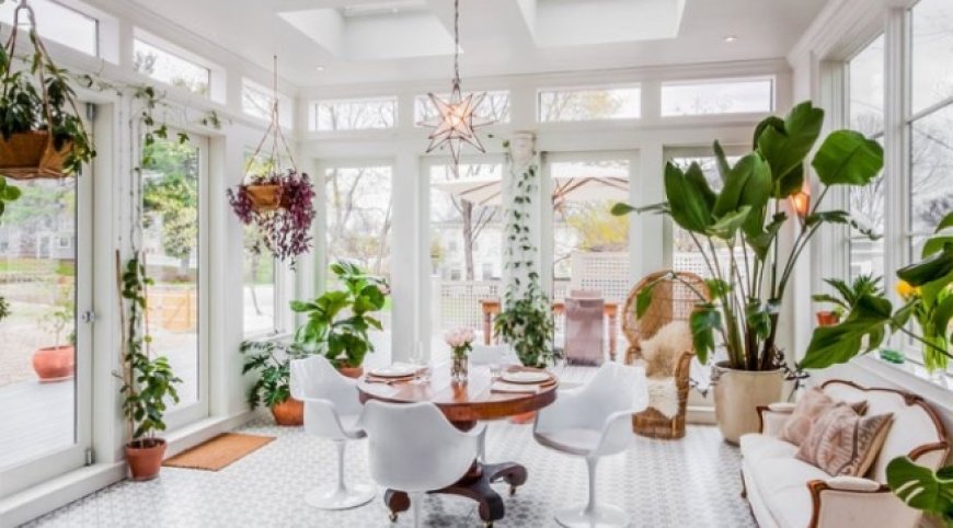 Güneş ışığı seven iç mekan bitkileri