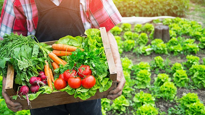Uzmanlardan velilere uyarı: Çocukların doğal beslenmesine özen gösterin