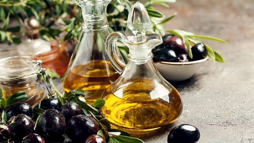 Castellon'un 2000 Yıllık Zeytin Ağaçları: Tarih ve Koruma