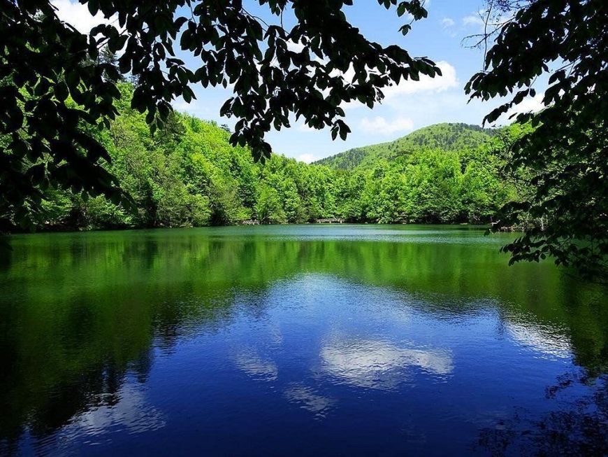 Yedigöller Milli Parkı: Doğanın Gizli Cenneti