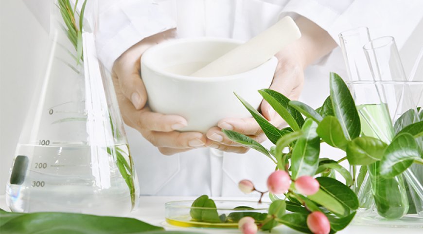 Astım Hastalığı Tedavisi Bitkisel Kürler