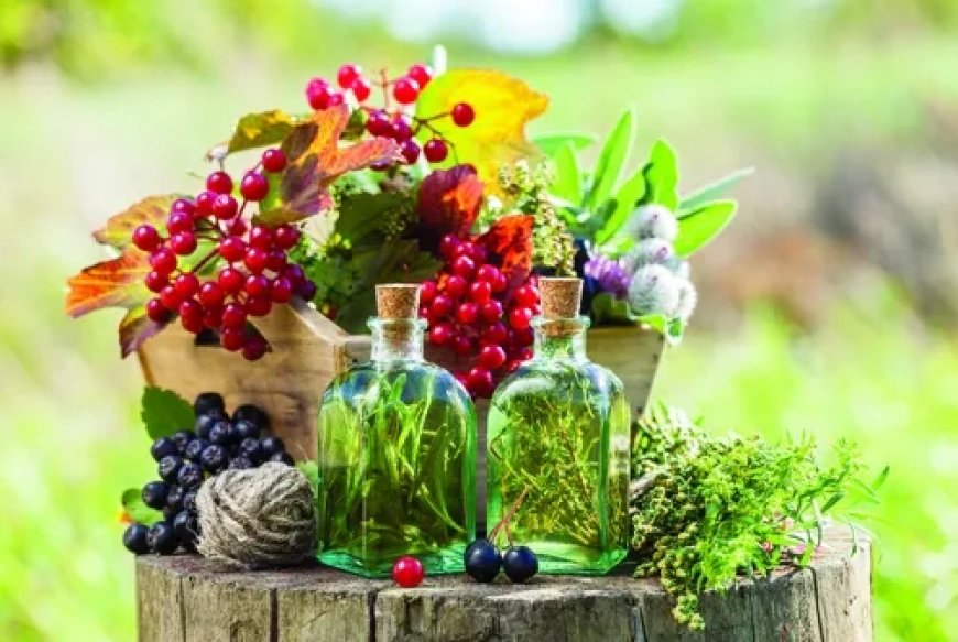 Bahçenizde Yetiştirebileceğiniz 10 Şifalı Bitki ve Faydaları