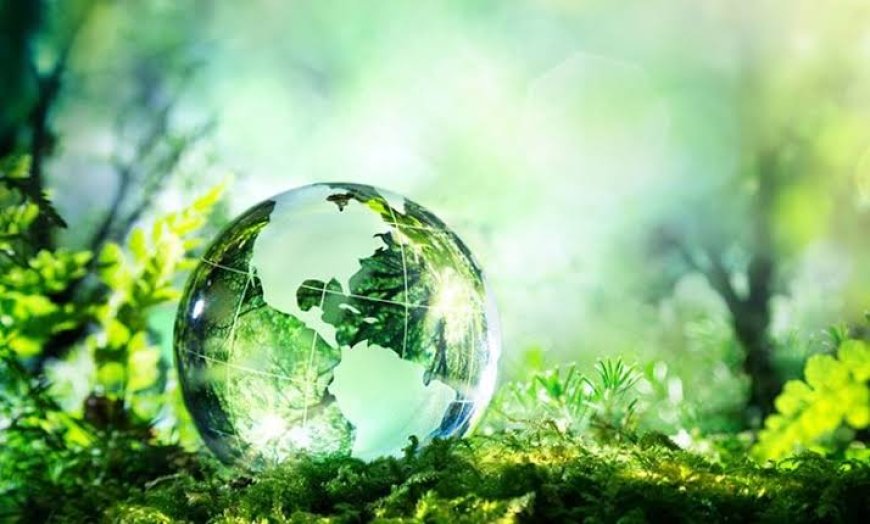 Çevre Bilinci ve Eğitim: Geleceğe Duyarlı Nesiller Yetiştirme Sorumluluğu