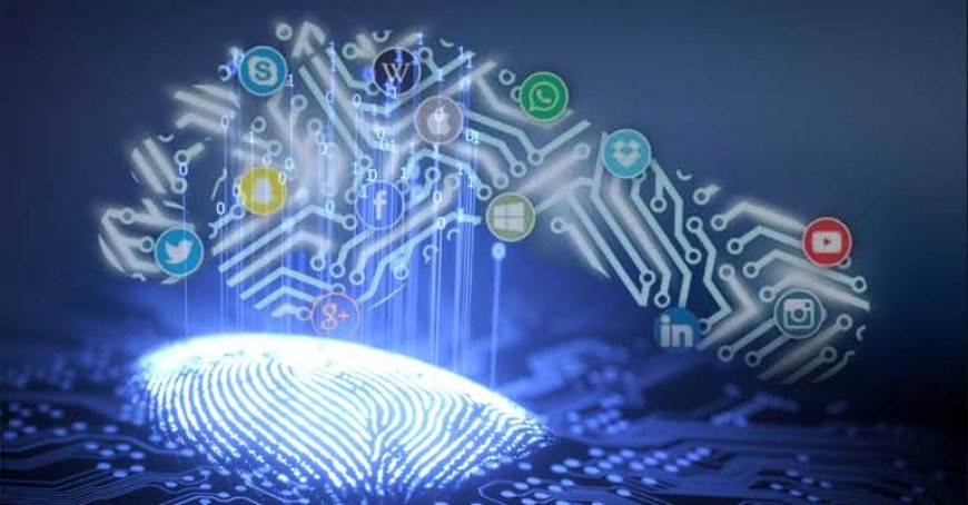 Dijital Ayak İzi: İnternet Çevreyi Nasıl Etkiliyor?