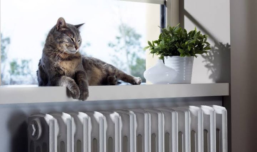 Soğuklar Geri Geldi, Petekler Neden Isınmıyor?