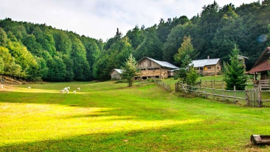 İznik Hacıosman Köyü: Doğayla İç İçe Bir Kaçamak